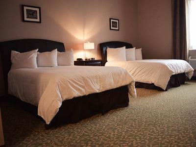 Belvedere Inn Schenectady - Albany Zimmer foto