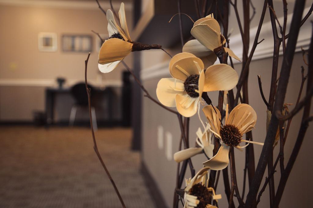 Belvedere Inn Schenectady - Albany Zimmer foto